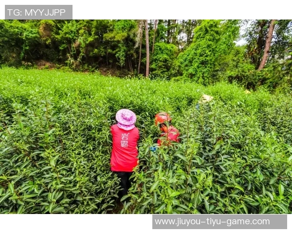 世界足球巨星的英文名字解析及其背后的故事与意义 世界足球巨星的英文名字解析及其背后的故事与意义